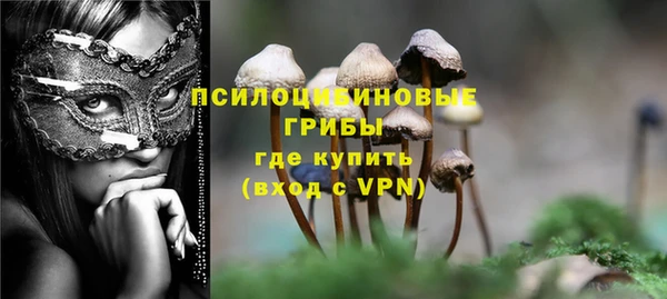 стафф Белоозёрский