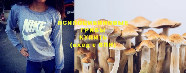 соль ск Богородицк