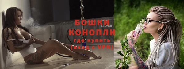 соль ск Богородицк