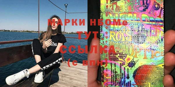 соль ск Богородицк