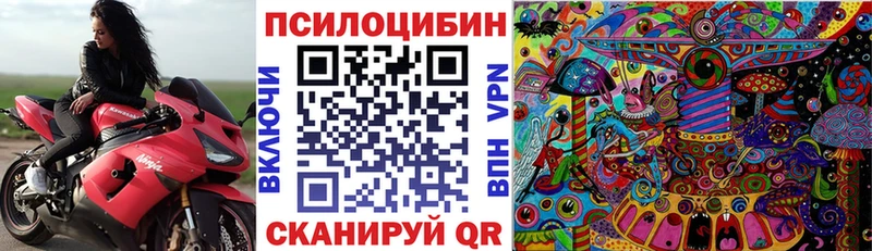 Галлюциногенные грибы прущие грибы  Купить где  Кузнецк 